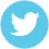 logo-twitter.jpg